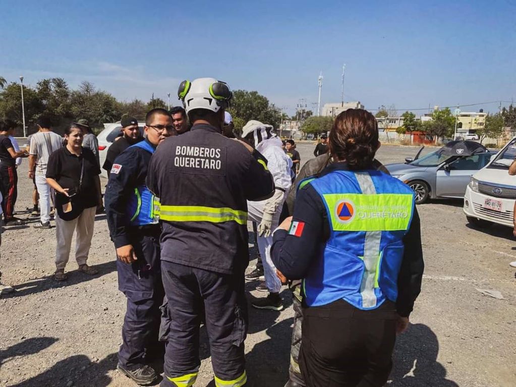 Cincuenta personas fueron atacadas por abejas en el Parque Bicentenario. Foto: Especial