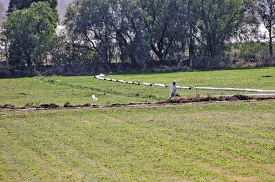  Buscan avanzar en programa de riego