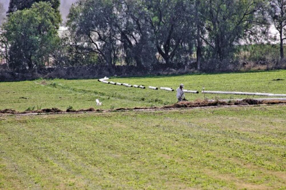  Buscan avanzar en programa de riego