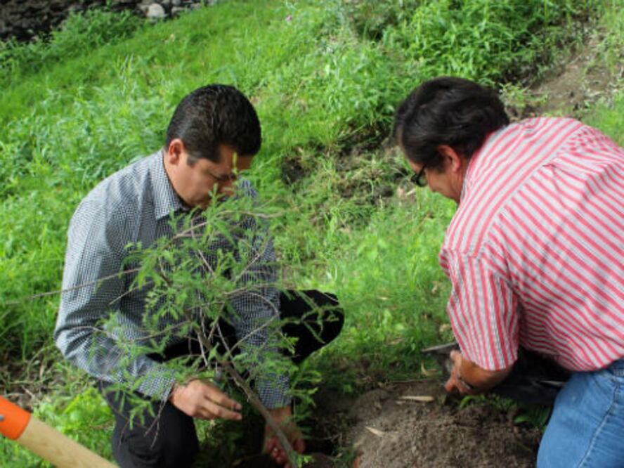 Arranca programa de rehabilitación
