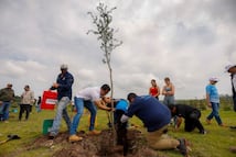 Encabeza Felifer Macías la conmemoración del Día Nacional del Árbol con la jornada “Querétaro, la Capital Verde”