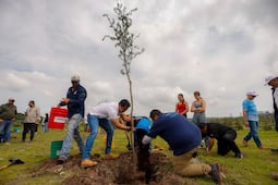 Encabeza Felifer Macías la conmemoración del Día Nacional del Árbol con la jornada “Querétaro, la Capital Verde”