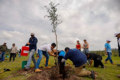 Encabeza Felifer Macías la conmemoración del Día Nacional del Árbol con la jornada “Querétaro, la Capital Verde”