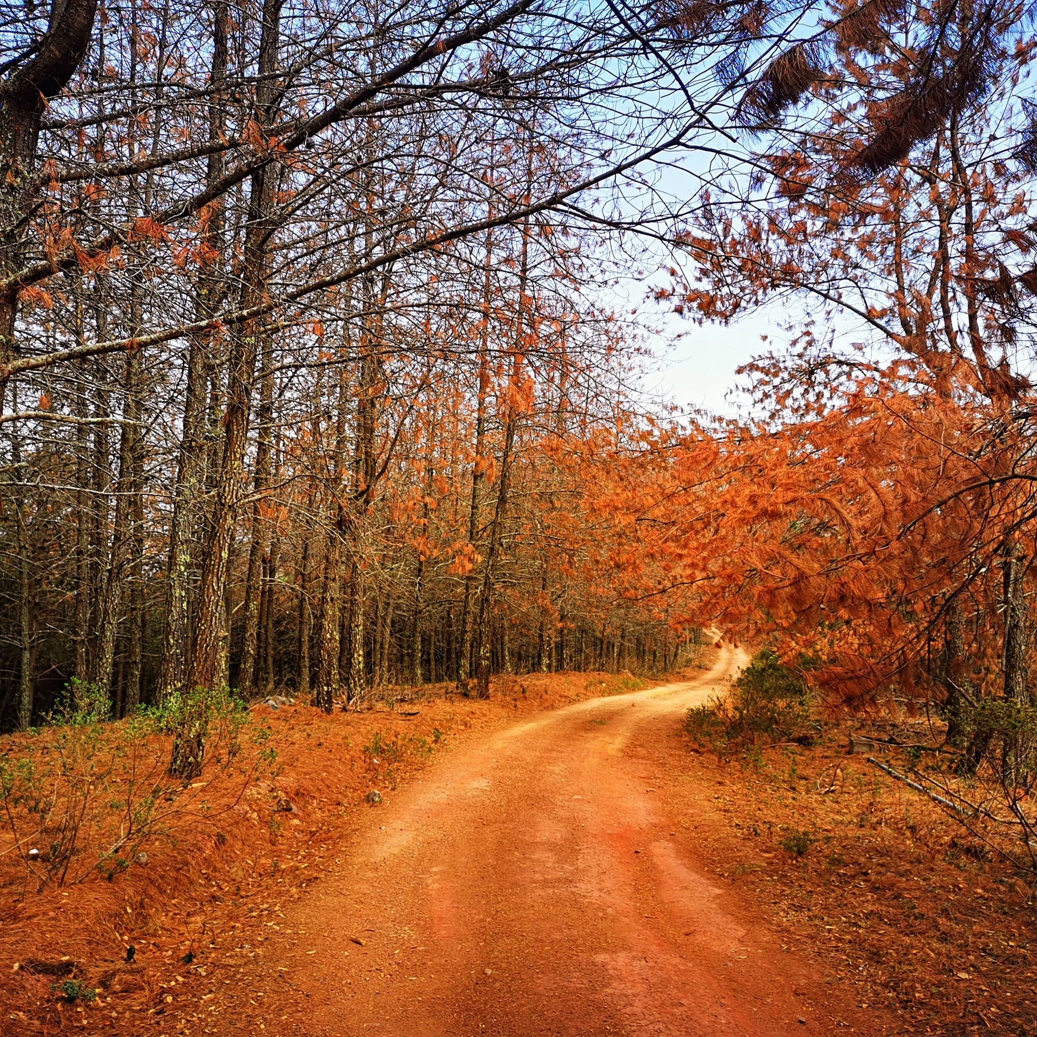 Foto: Comisión Nacional de Áreas Naturales Protegidas.