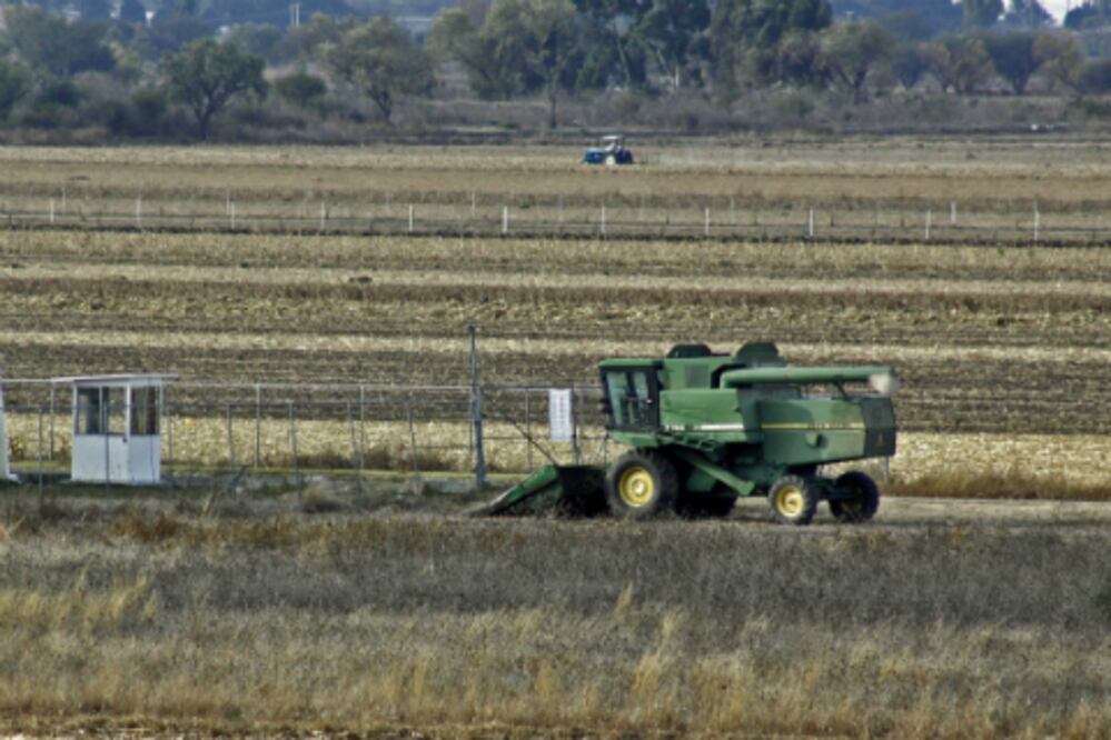 Estiman aumento de 12% en cosecha