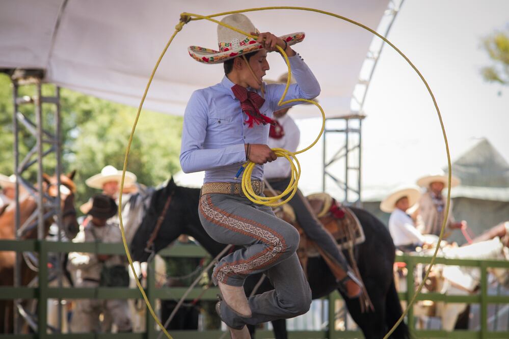 Foto: Demian Chávez