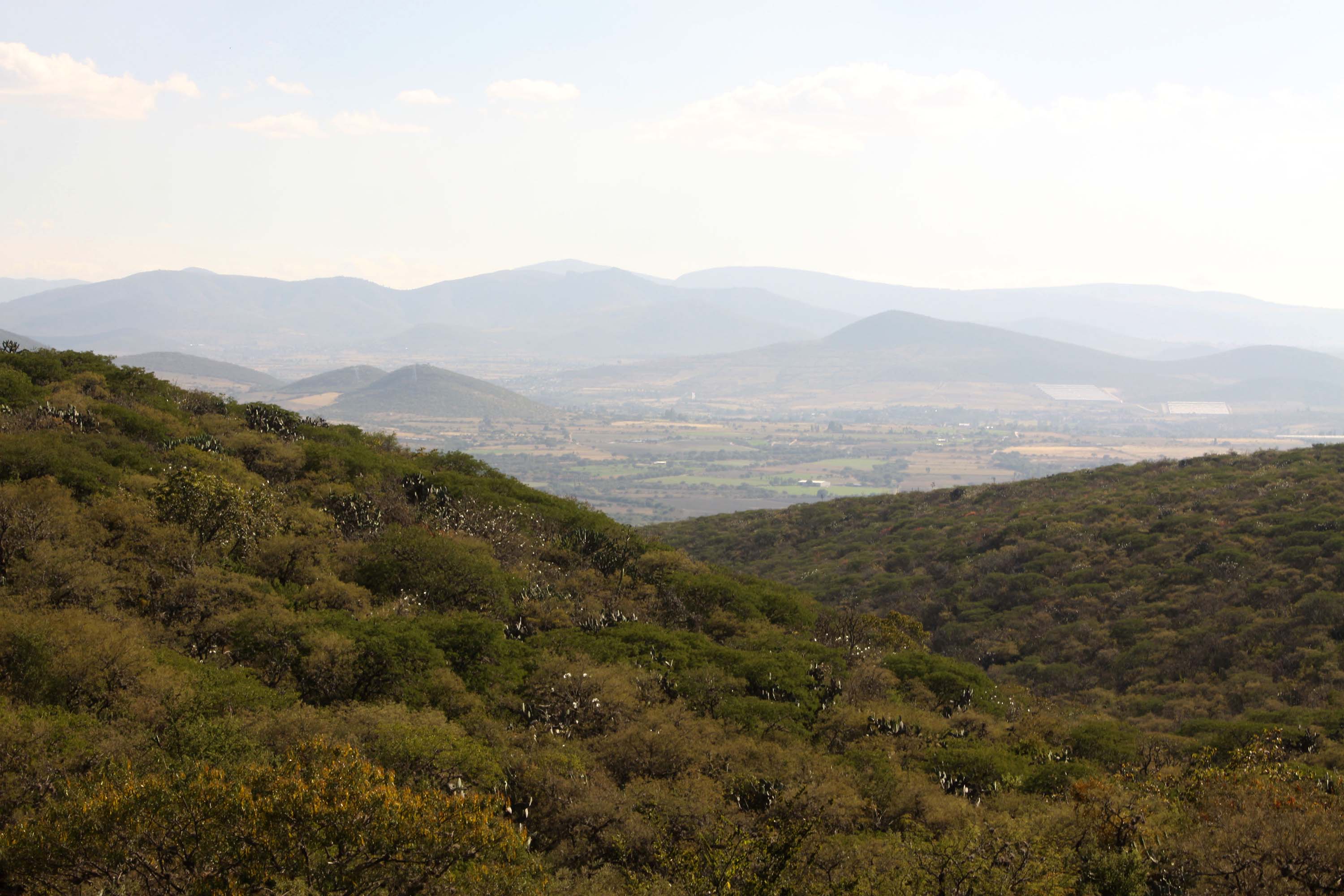 Legisladores van juntos para proteger a la Peña