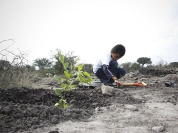 Mantienen convenio para reforestación