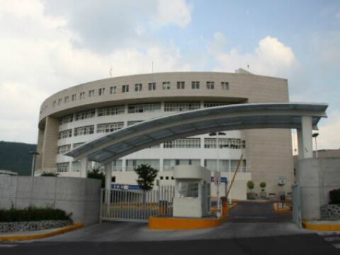 Declaración patrimonial