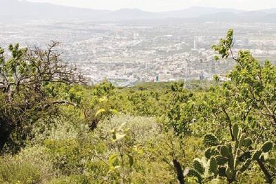 Buscan proteger Peña Colorada