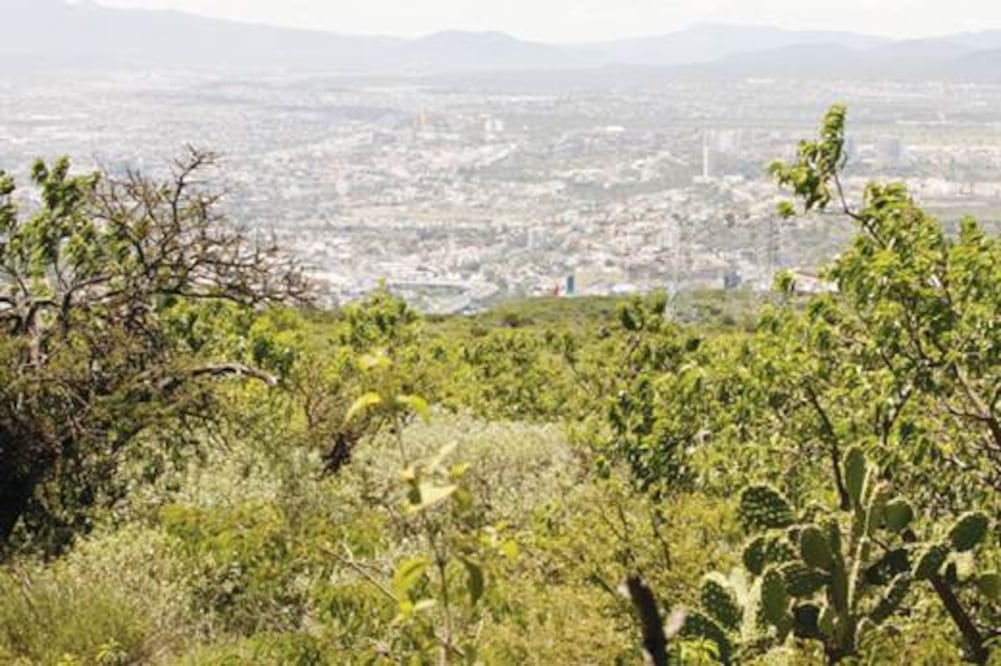 Buscan proteger Peña Colorada