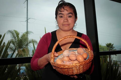 Apoyan a mujeres con gallinas ponedoras 