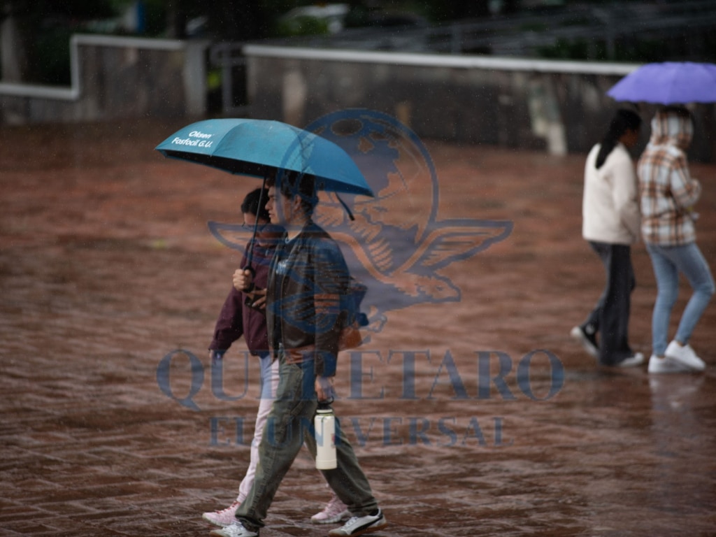 FOTO. FERNANDO CAMACHO