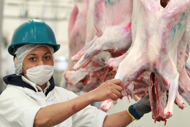 La Secretaría de Economía dio a conocer la aplicación de impuestos a la carne de puerco proveniente de Estados Unidos. FOTO: ARCHIVO