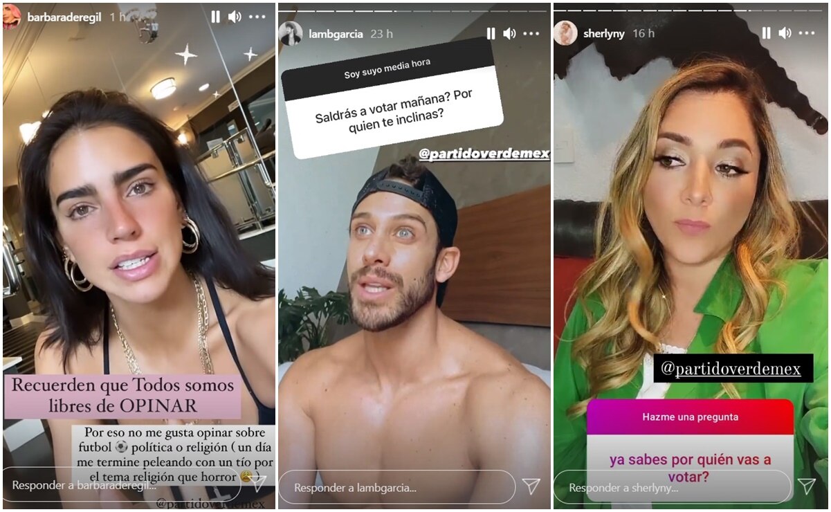 INE investiga a 95 personas por el apoyo de influencers al Partido Verde