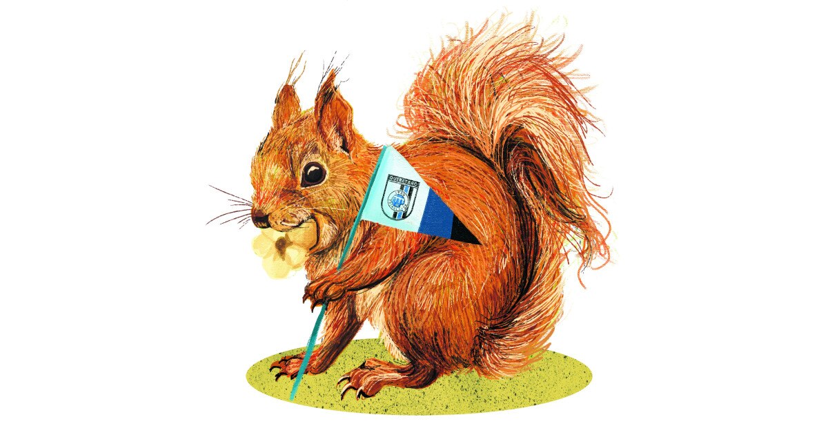 ILUSTRACIÓN: ROSARIO LUCAS