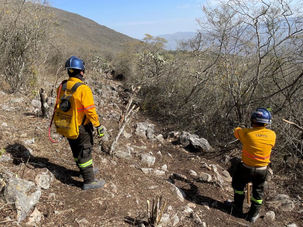 Controlan el 95% de incendio forestal en La Tinaja