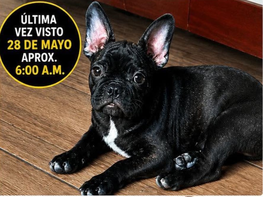 FOTO. CAPTURA DE PANTALLA