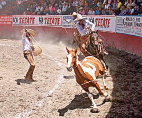 Comienzan festejos para federación de Charrería
