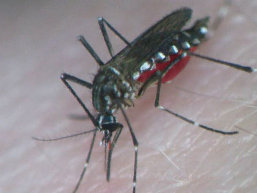 Importante extremar precauciones 