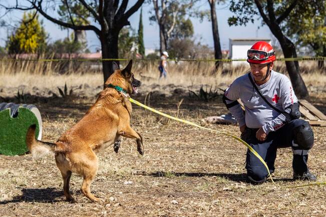 Binomios. El buen olfato, el secreto del rescate