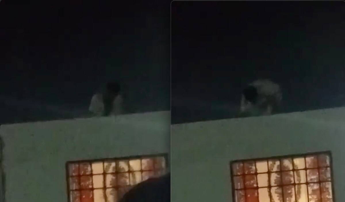 Serán dados en adopción; caso fue turnado a la Fiscalía para determinar sanciones. Foto: Captura de pantalla.