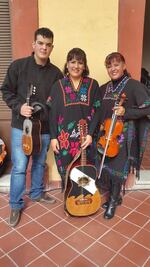 Un tributo a los huapangueros