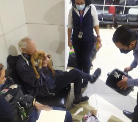 Adulto mayor deja su casa porque maltrataron a su perro