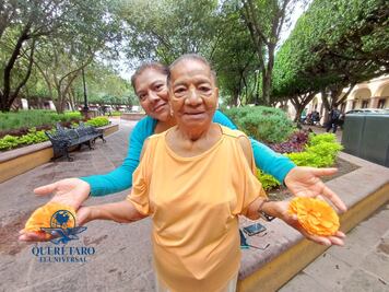 Cempasúchil,  una herencia que florece