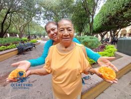 Cempasúchil, una herencia que florece