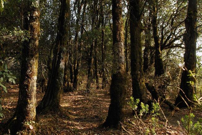 Acusan daño en Sierra Gorda por turismo