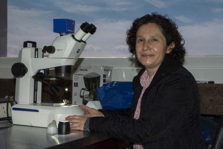 Gabriela Castaño, la bióloga mexicana que se ocupa del estudio de las hormigas 