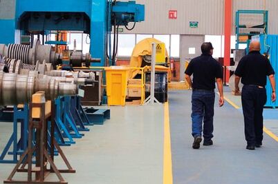 Aplicará la STPS otro plan de inspección