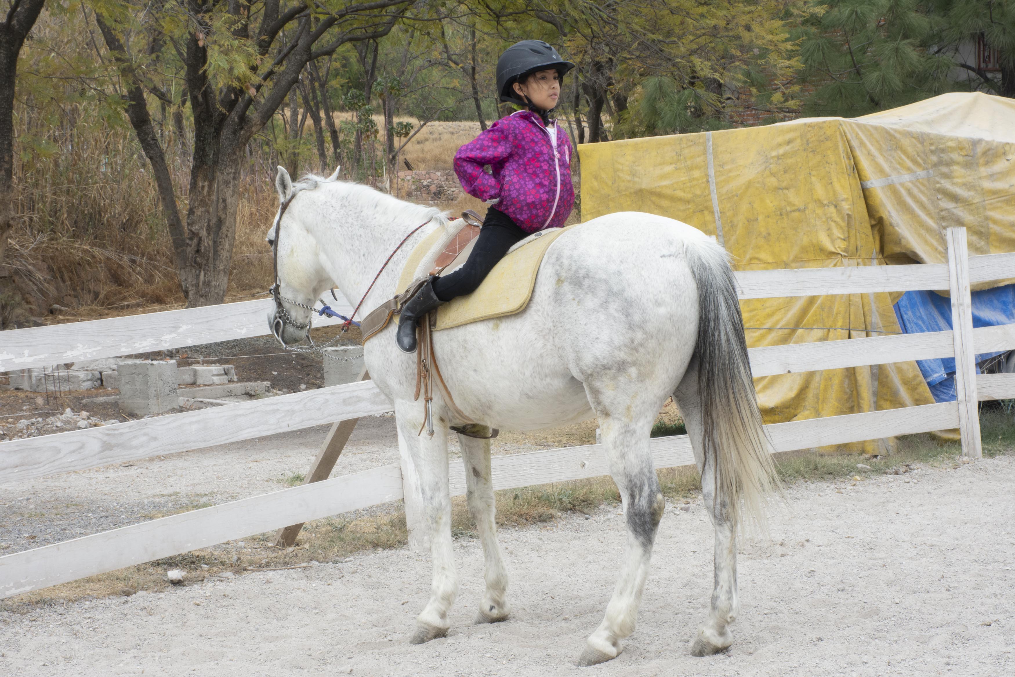 Hipoterapia: una rehabilitación alterna