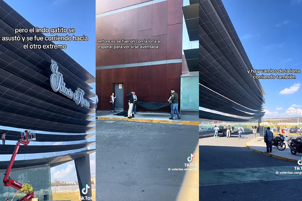 Personal de seguridad de Plaza Antea cerró una sección del estacionamiento para rescatar al gatito. Foto: Captura de pantalla
