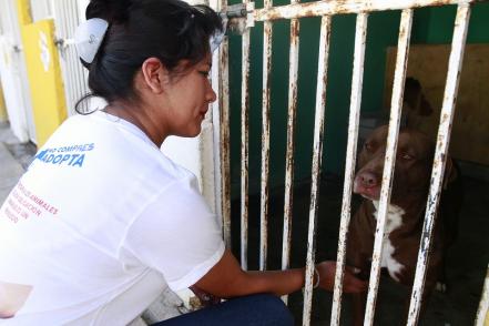 Flor: “Las mascotas no son un juguete de la casa”