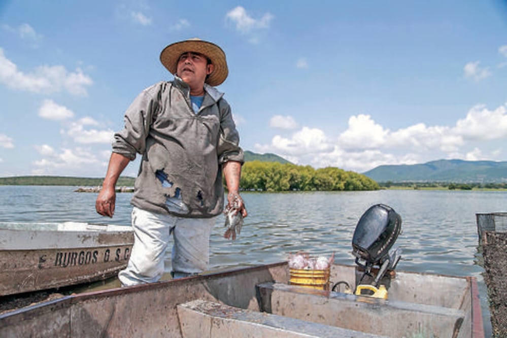 Ven en el estado rezago en la producción de pescado