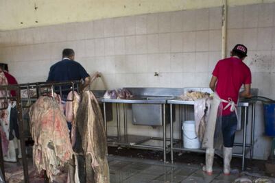 Van por plan contra el robo de ganado