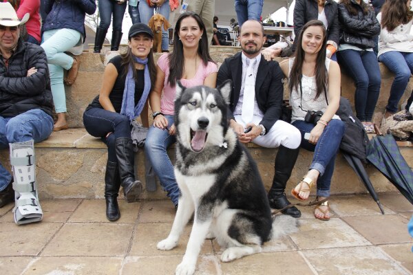 Competencia de Altura