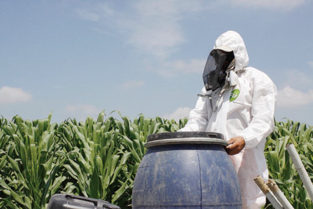 Destacan trabajos de control de plagas en la capital