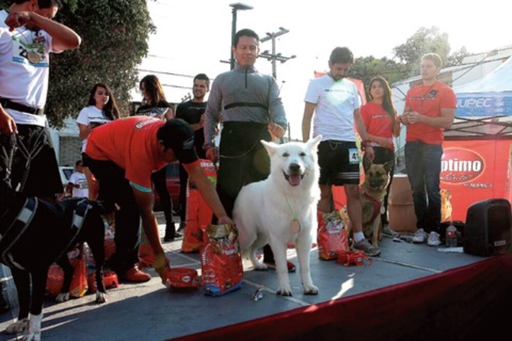 Corredores y mascotas disfrutan de primera edición de “The Walking Dog Querétaro”