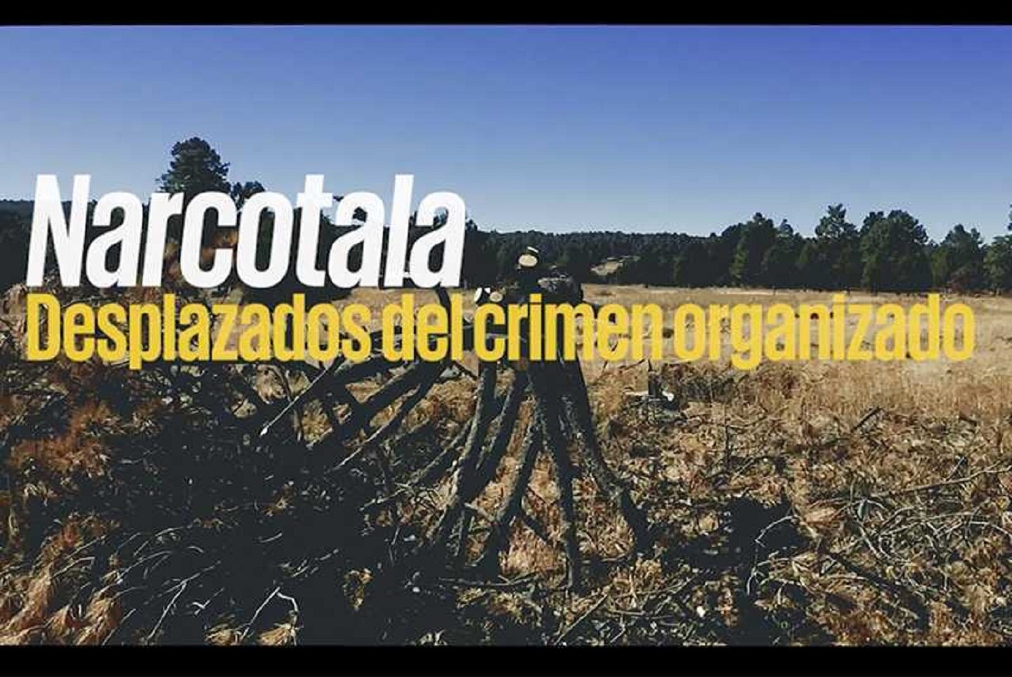 Narcotala en Chihuahua desplaza a rarámuris