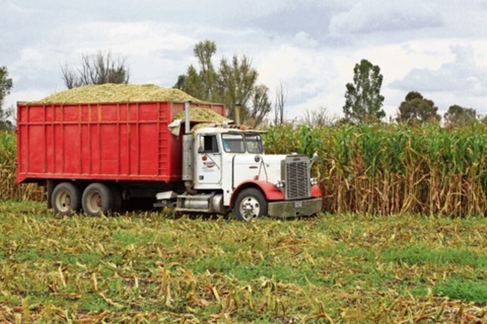 Con reforma profunda, más impulso a la tierra 