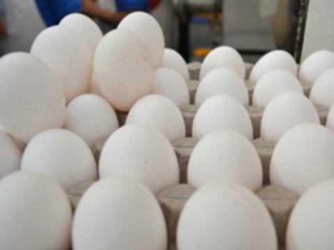 Suspenden a comercios por encarecer huevo