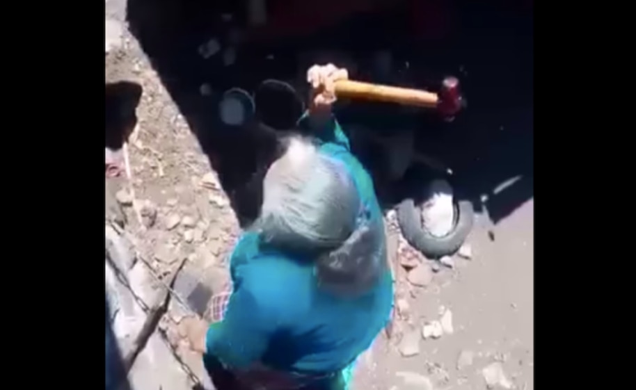 Video. A martillazos, abuelita mata a su perro en Querétaro