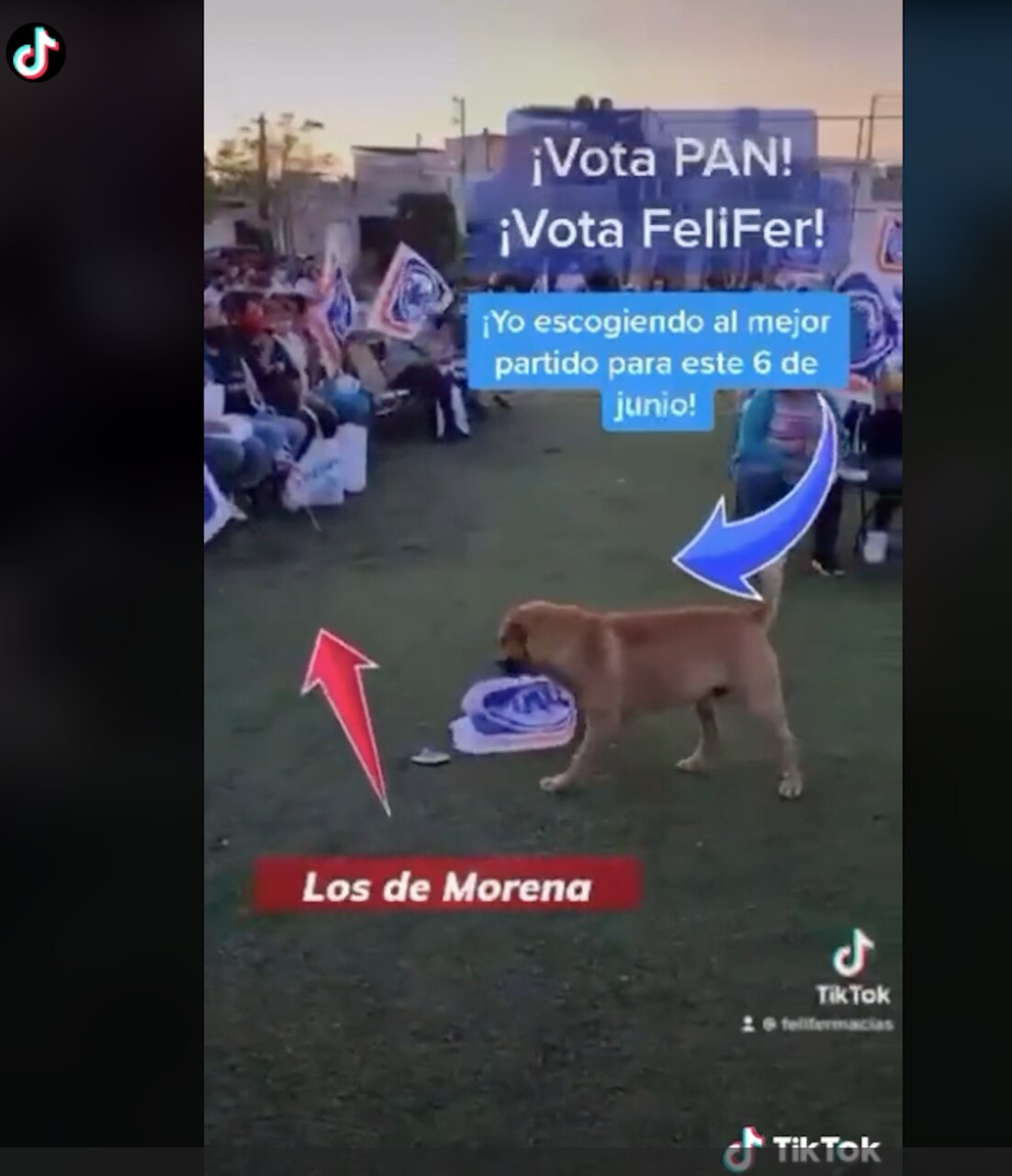 Foto: Captura de pantalla