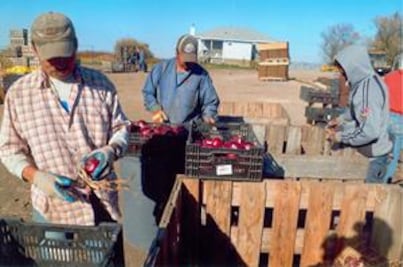 Sin pago, 40% de ex braceros