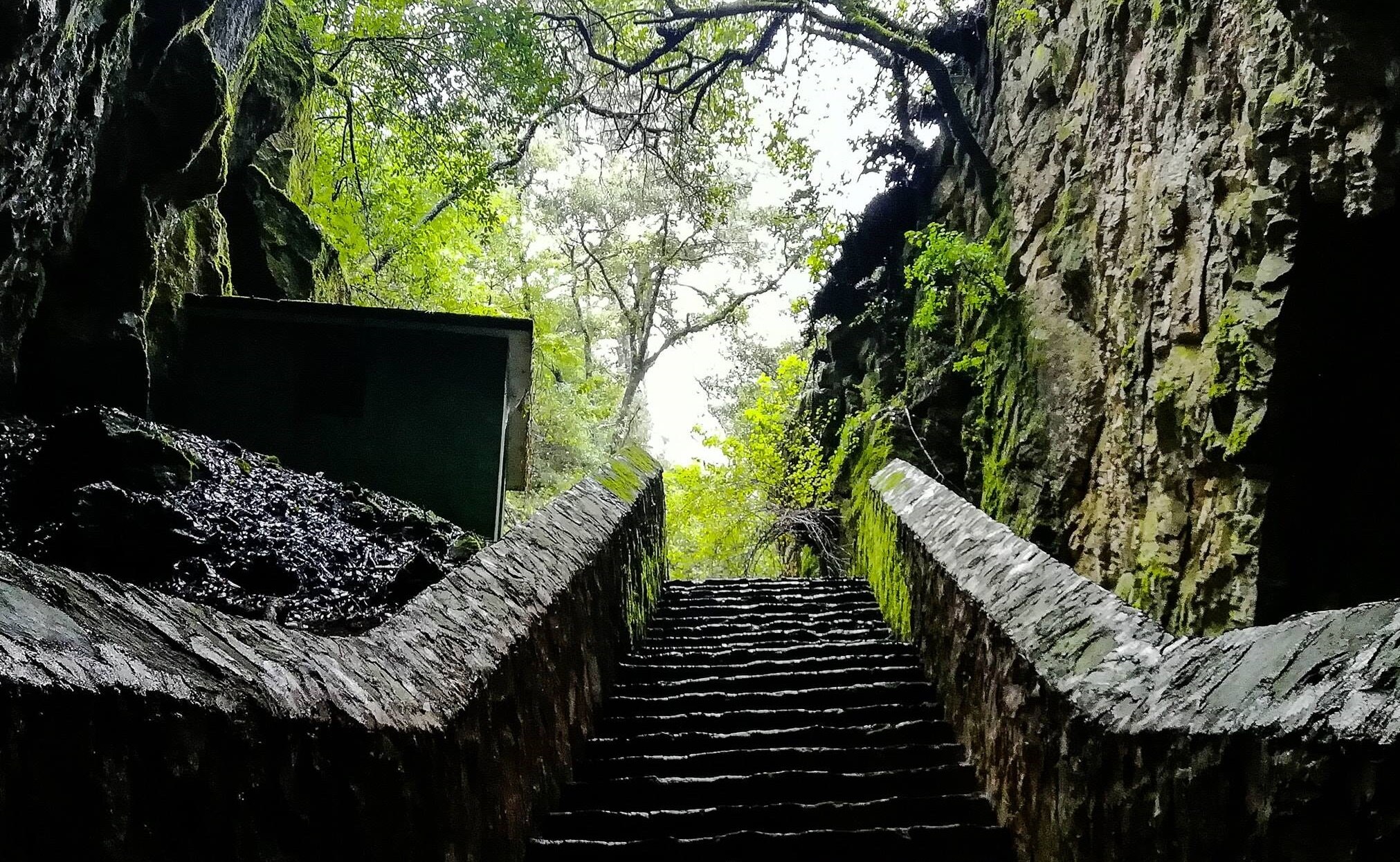 Grutas de los Herrera, un viaje hacia el pasado geológico. Foto: Facebook Grutas Los Herrera.