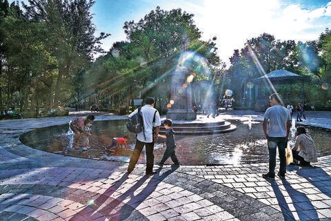 Proyectan jardín hidropónico