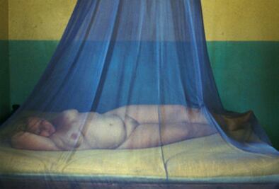 Cine internacional en el Rosalío Solano